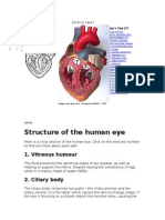 Structure of The Human Eye: 1. Vitreous Humour