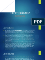 La Madurez