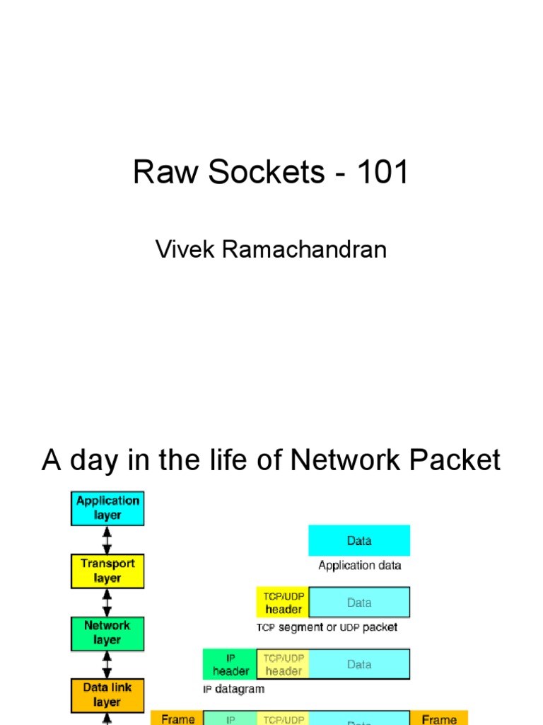 Raw Sockets | Network Socket | Network Packet