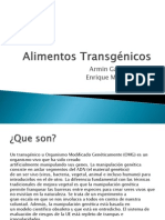 Alimentos Transgénicos