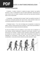 Apostila de anatomia básica