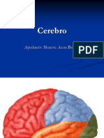 Cerebro