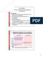 Genetics Lect 5 2011 Colour 2 Slides Per Page