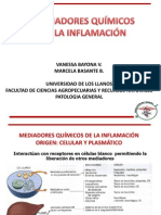 Mediadores Químicos Inflamación AA Vías Ciclooxigenasa Lipooxigenasa