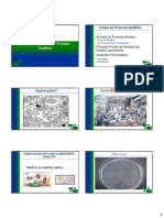 Introdução às etapas do Processo Analítico em Laboratórios Clínicos