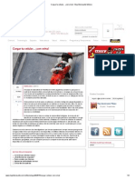 Cargar Tu Celular PDF