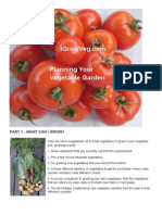 Planning Your Veg Garden P 2