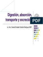 Digestión, Absorción, Transporte y Excreción1