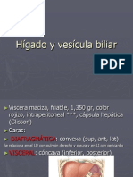 Hígado y vesícula biliar