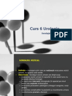 Curs 6 Urologie