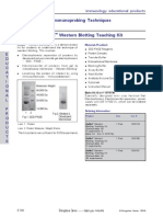 Immunoprobing Techniques Genei Western Blotting Teaching Kit