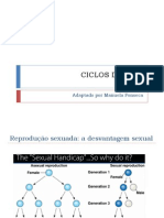 10-Ciclos de Vidas