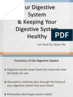 Your Digestive System