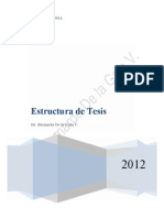 Estructura de Tesis Maestria y Doctorado 2013 Luz]