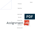 B2C Websites/ Essay / Paper by AssignmentLab.com