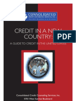 Credit in the US