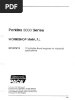 Perkins3000series Ws 2