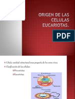 Origen y evolución de las células procariotas y eucariotas