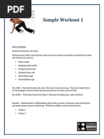 Animal Flow Workout (2011)