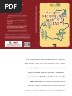 Guida Per Riconoscere 50 Alberi Del Veneto