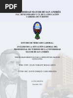 Tesis de Grado - Análisis de La Situación Laboral Del Profesional en Turismo PDF
