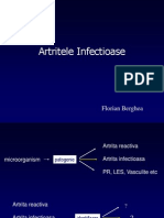 Florian Artritele Infectioase