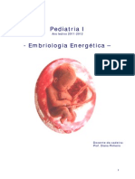 ESMTC - Pediatria I - Embriologia Energetica