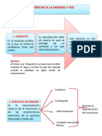 Derecho A La Imagen y Voz