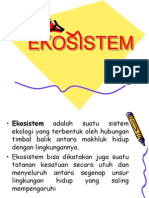 4-ekosistem