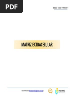 07. Matriz Extracelular