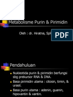 Metabolisme Purin & Pirimidin