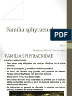 Familia Sphyraenidae