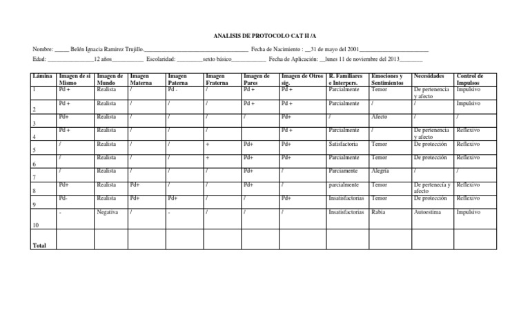 Analisis de Protocolo Cat H | PDF