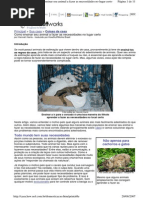 Dicas Pet - Ensinando a Fazer as Necessidades No Lugar Certo