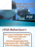 Tingkah Laku Ikan