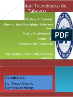 Politica Ambiental