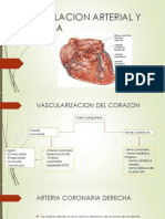 Circulacion Arterial y Venosa