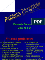 Problema Triunghiuluia21 1232883787023536 3