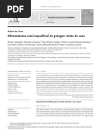 15 676 Fibromixoma RBO(2)