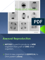 Mitosis and Meiosis Weebly