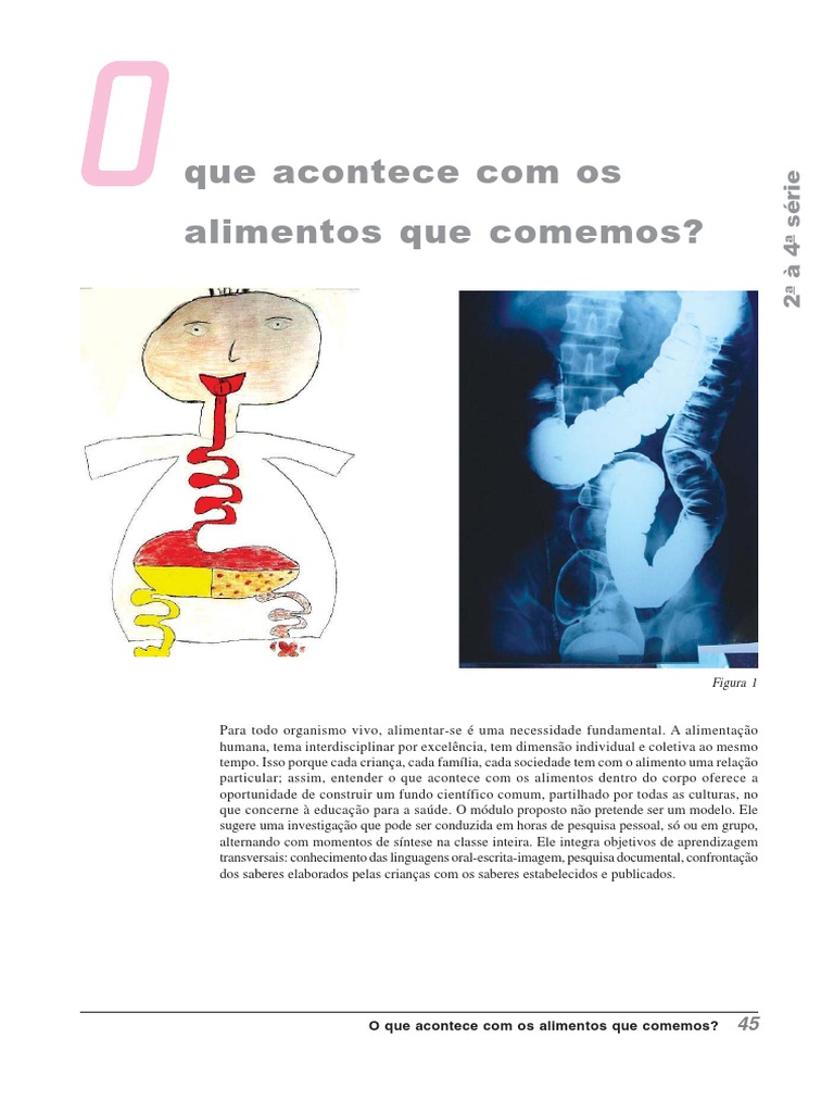 O Que Acontece Quando Uma Substância Reage Ela Some