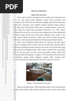 Download mencit by Agdila Okke Kalistasari SN186293721 doc pdf