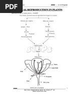 Sexual Reproduction in Plants