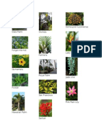 ARPL Plants and Pavements