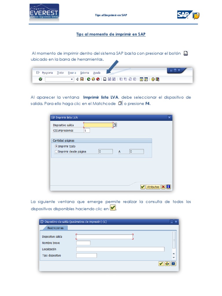 Tips Para Imprimir en SAP - Sp01