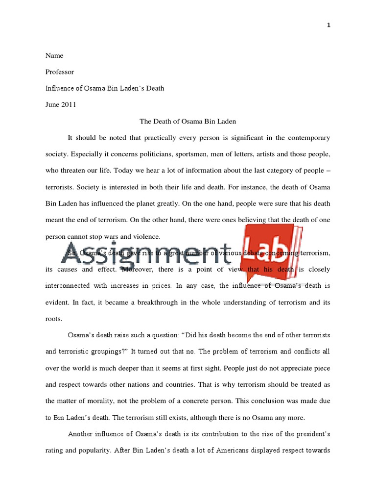 Osama essay 07 image