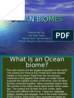 Ocean Biomes