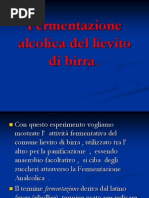 Fermentazione Alcolica Del Lievito Di Birra 3