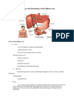 Anatomy and Physiology of The Biliary Tree