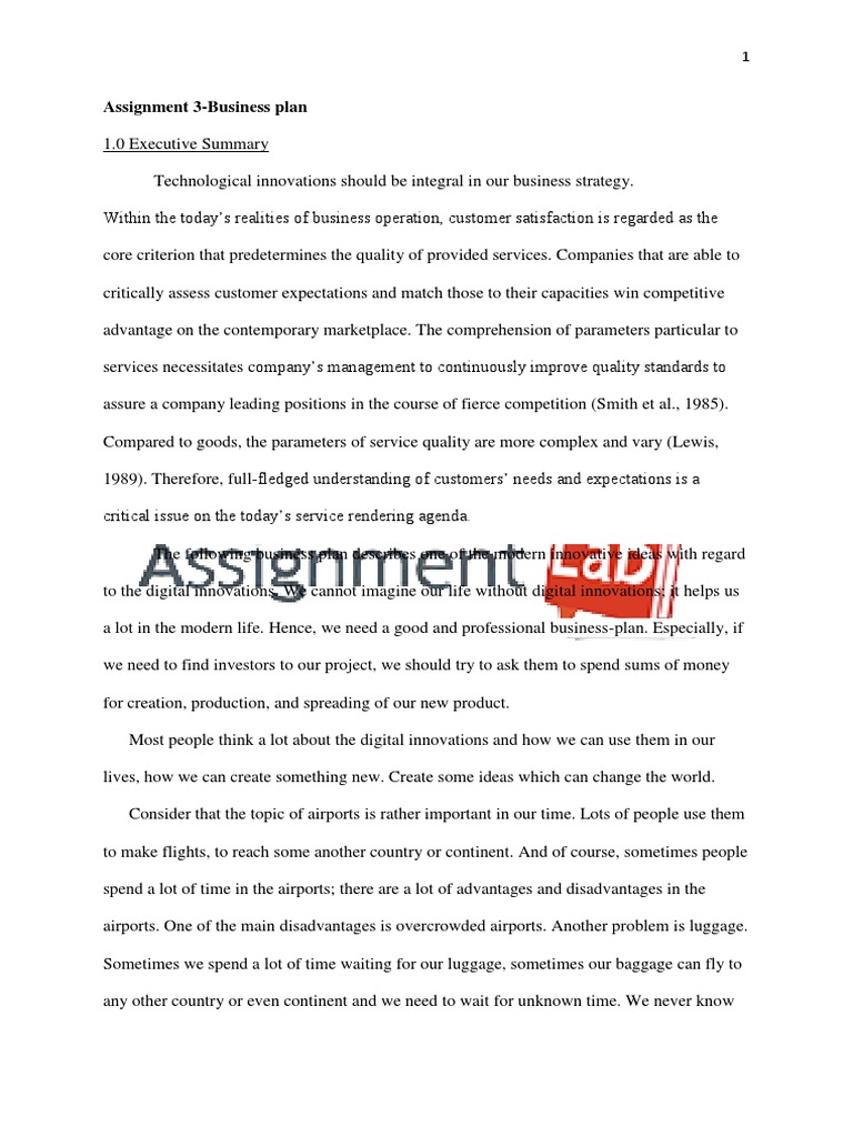 Business Plan/ Essay / Paper | PDF | Swot Analysis | Baggage